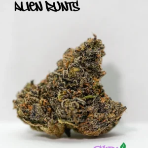 Alien Runtz