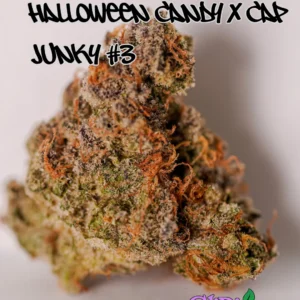 Halloween Candy x Cap Junky' #3