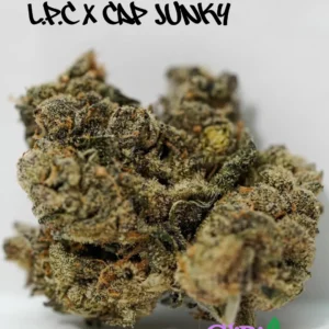 London Pound Cake x C4